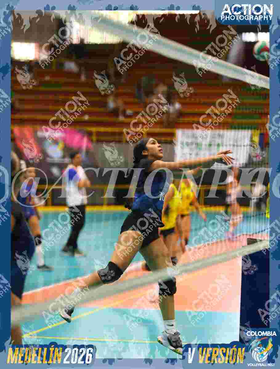 WOLVES Foto 1