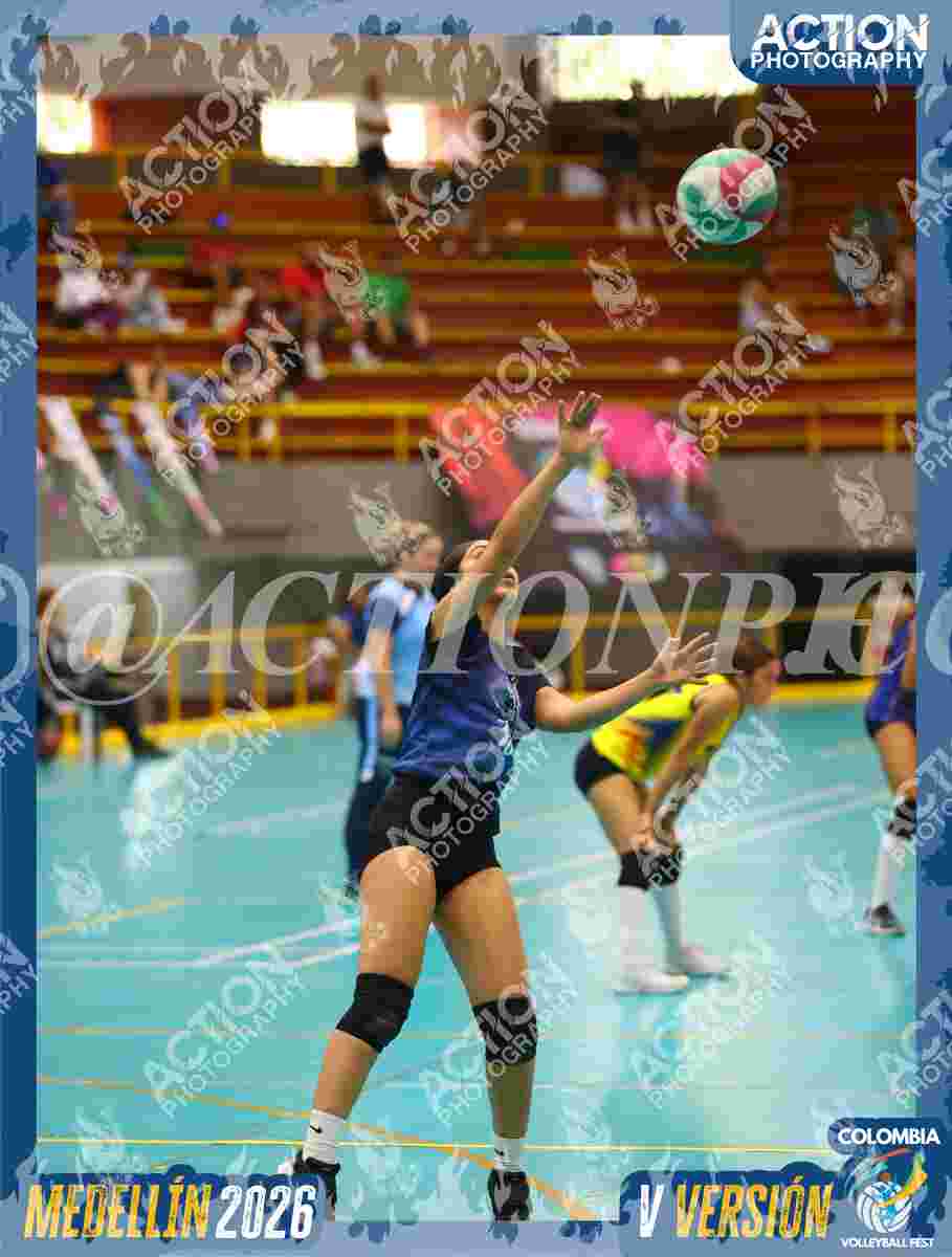 WOLVES Foto 1