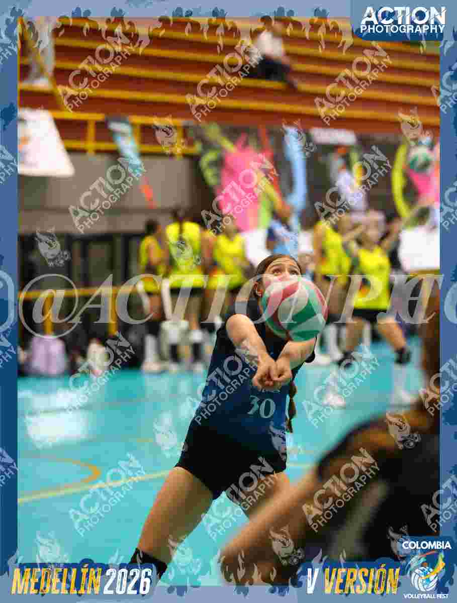 WOLVES Foto 11