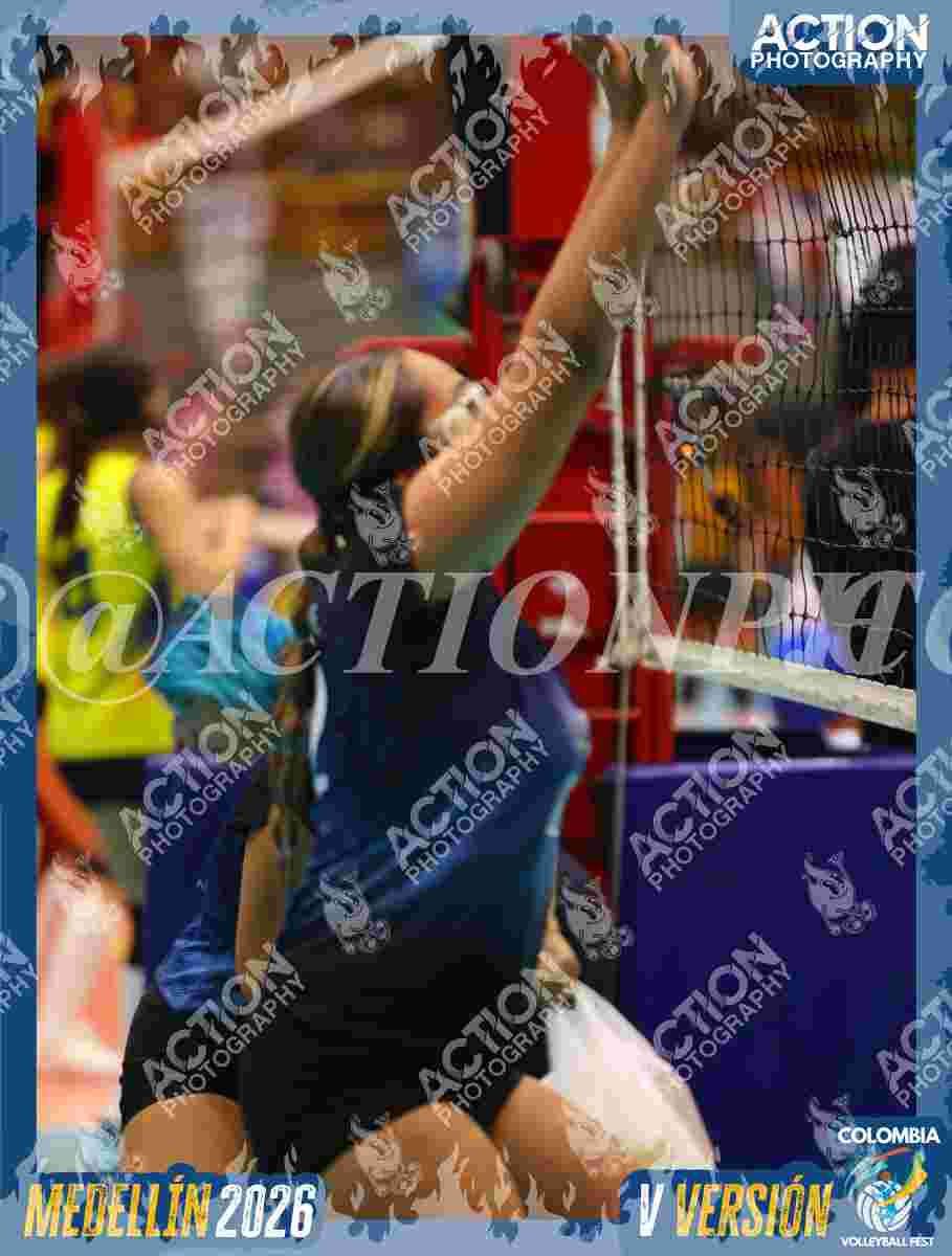 WOLVES Foto 11