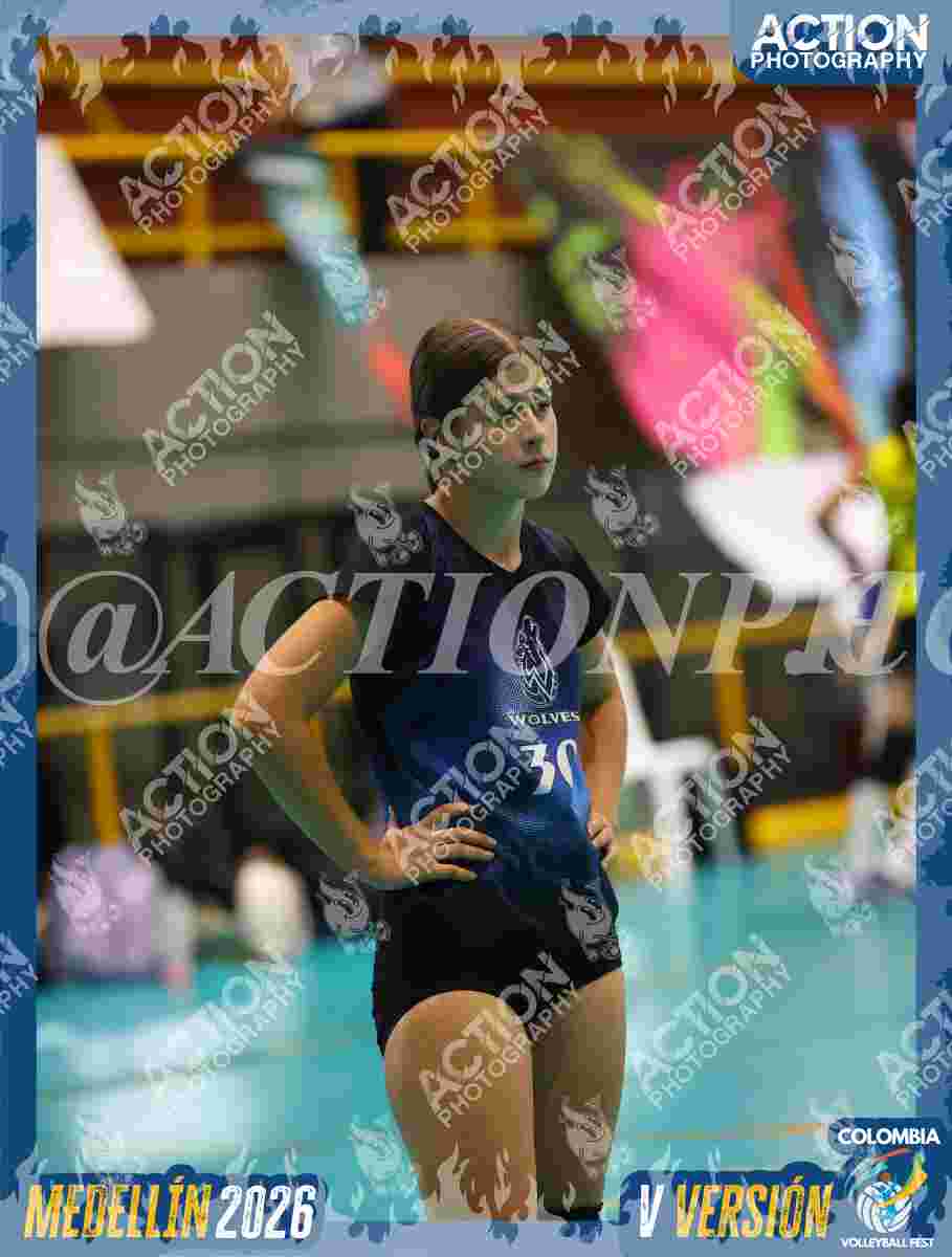 WOLVES Foto 11