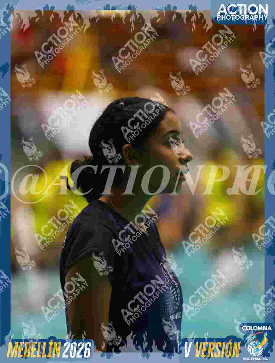 WOLVES Foto 11