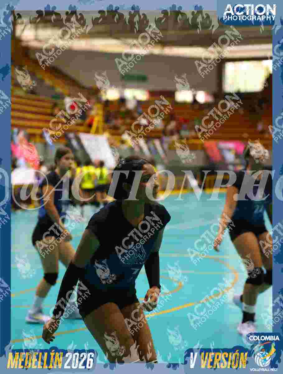 WOLVES Foto 11