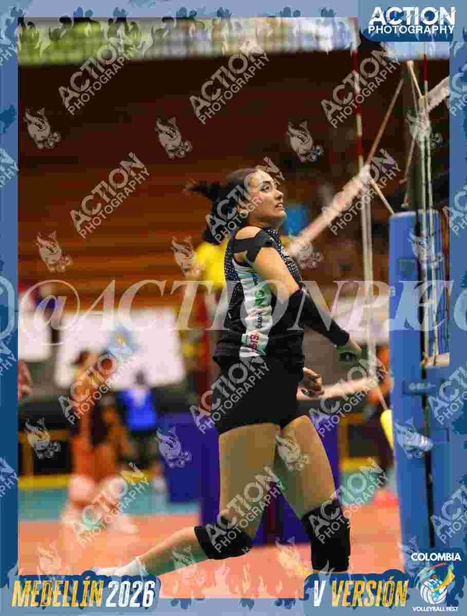 TIGRES DEL VOLEY Foto 1