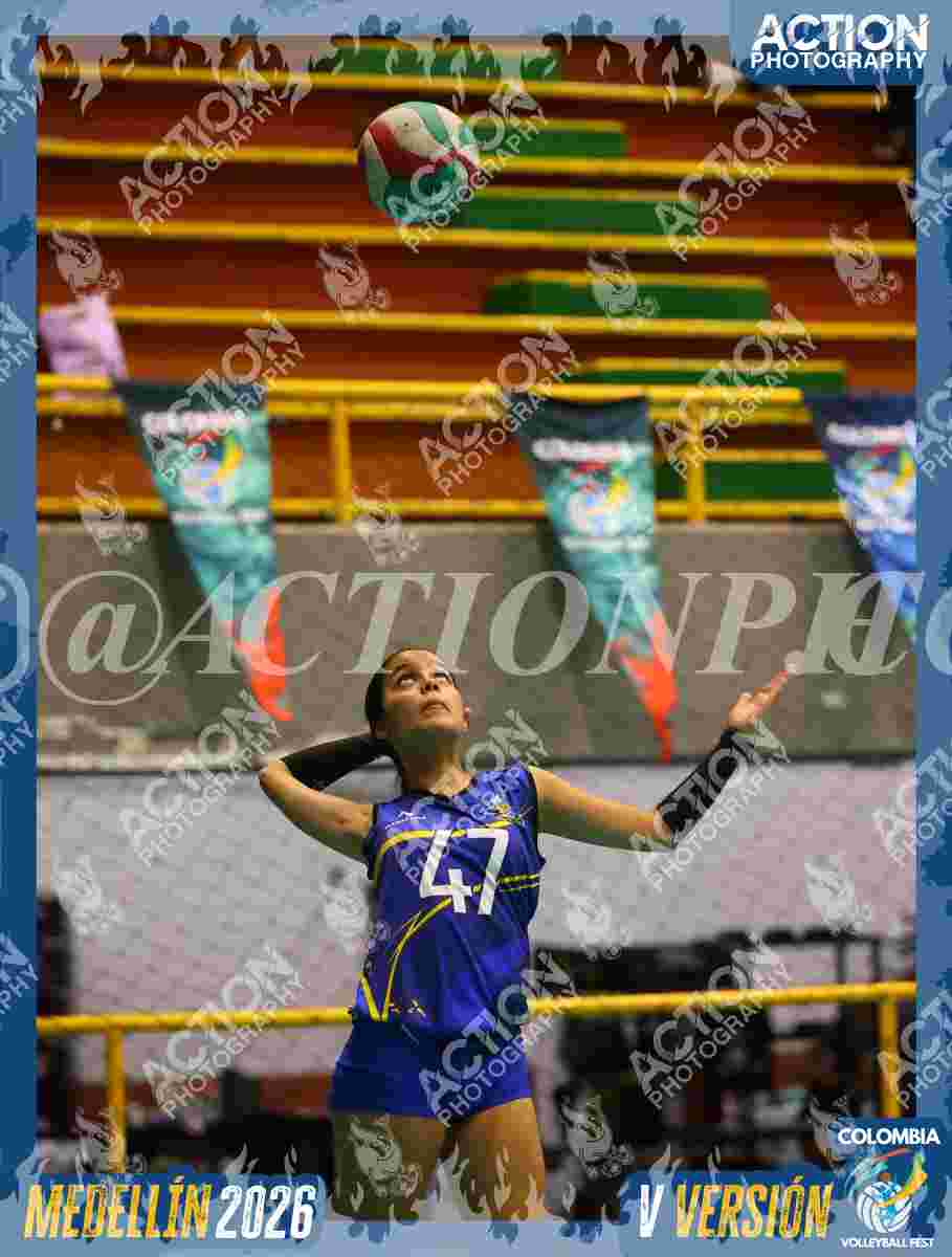 TIGRES DEL VOLEY Foto 14