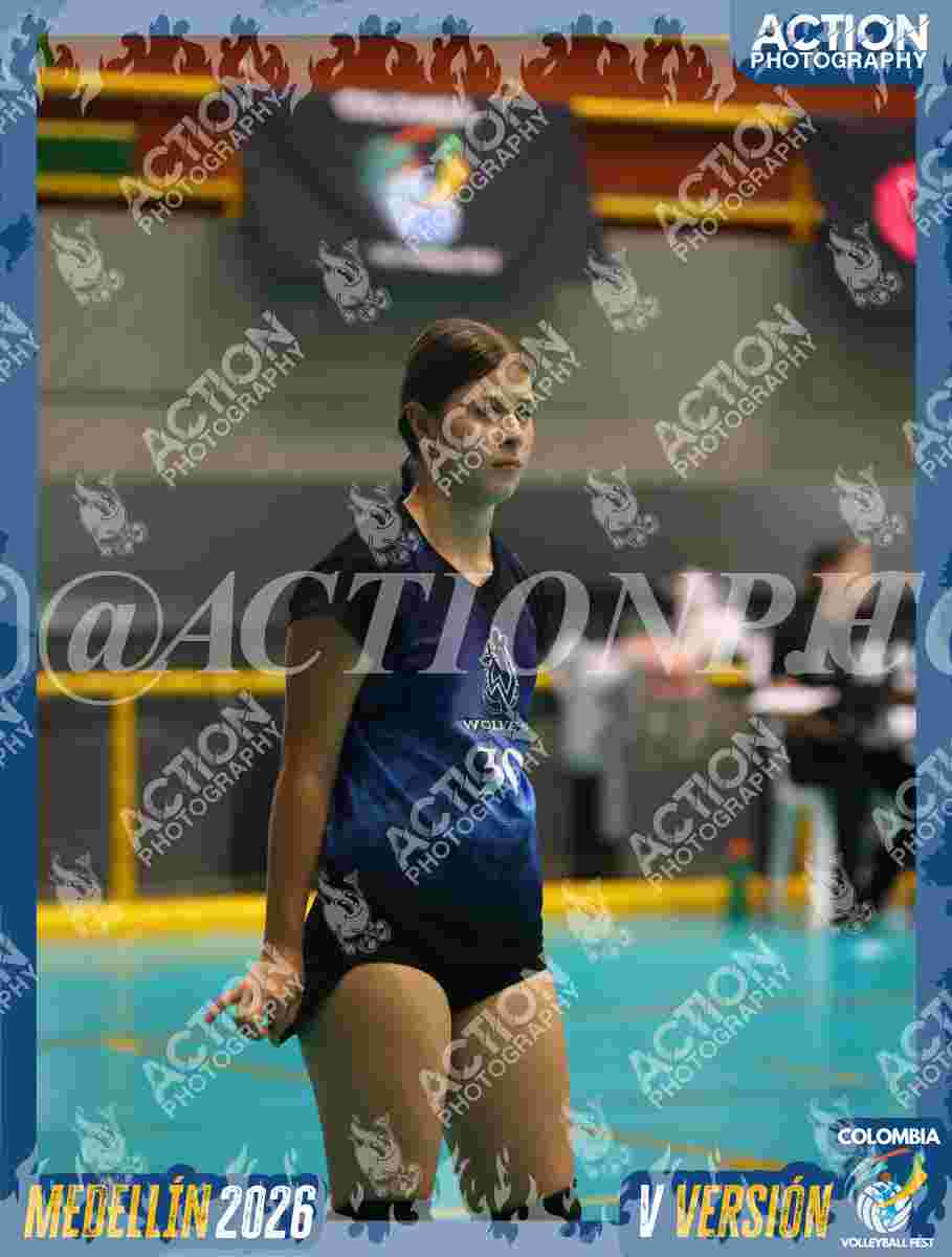WOLVES Foto 1