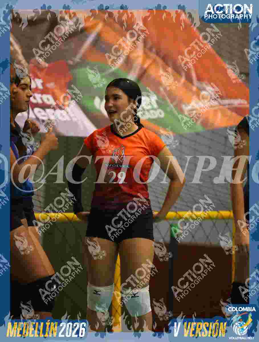 WOLVES Foto 1