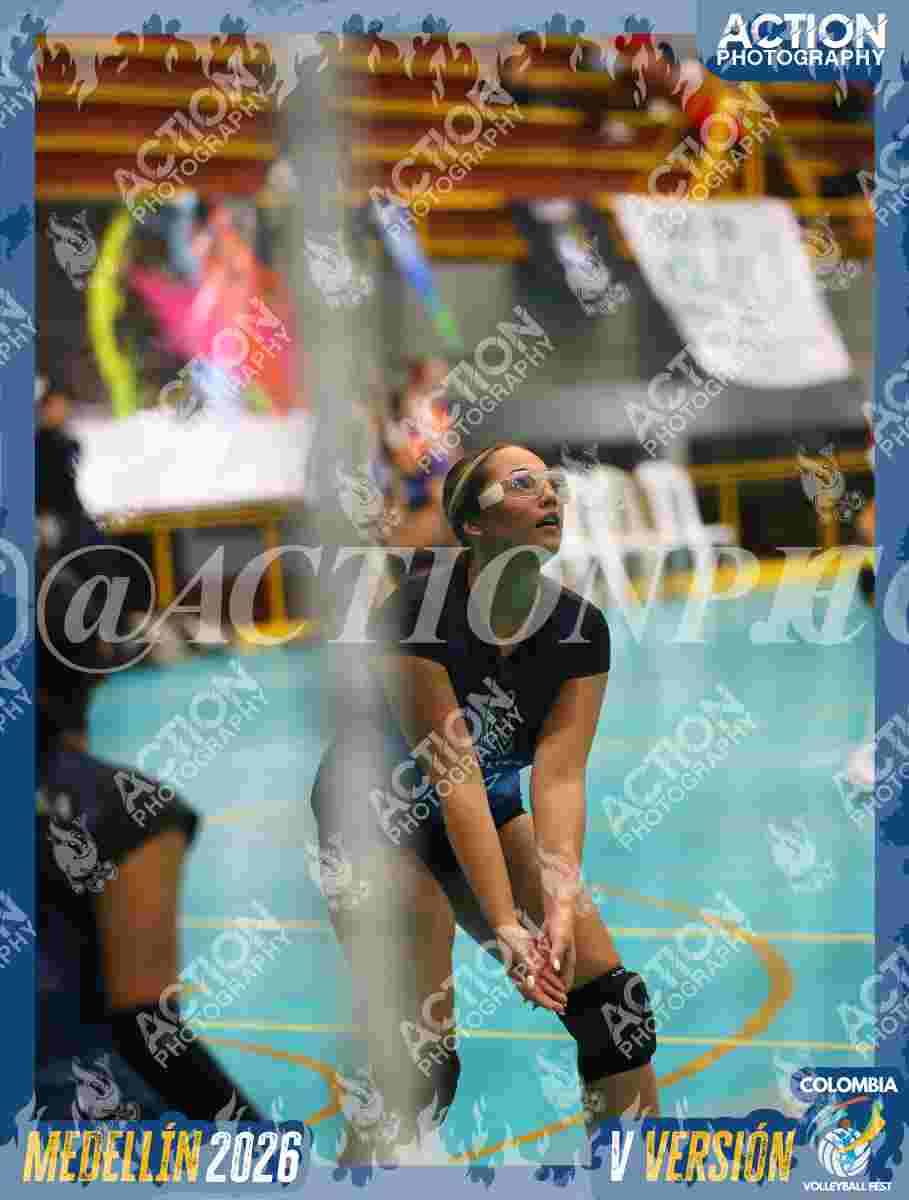 WOLVES Foto 11