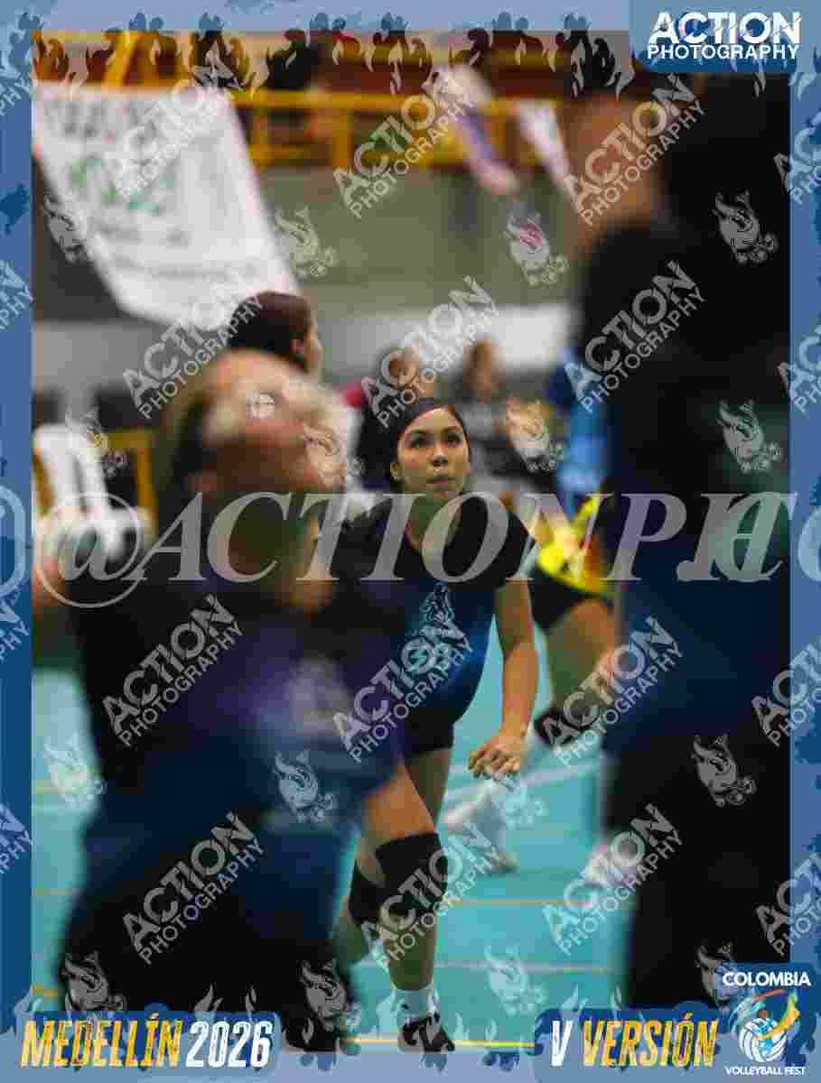 WOLVES Foto 1