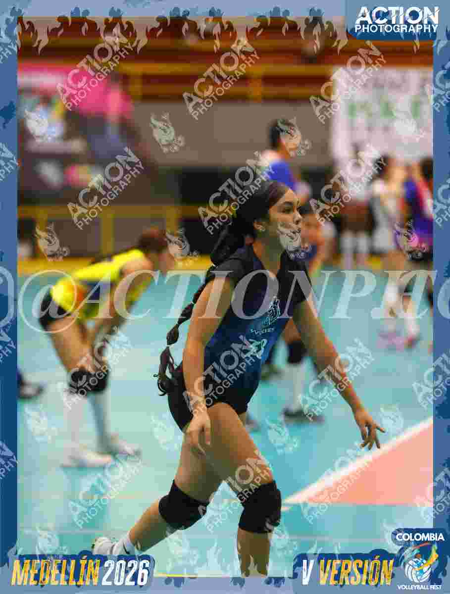 WOLVES Foto 1