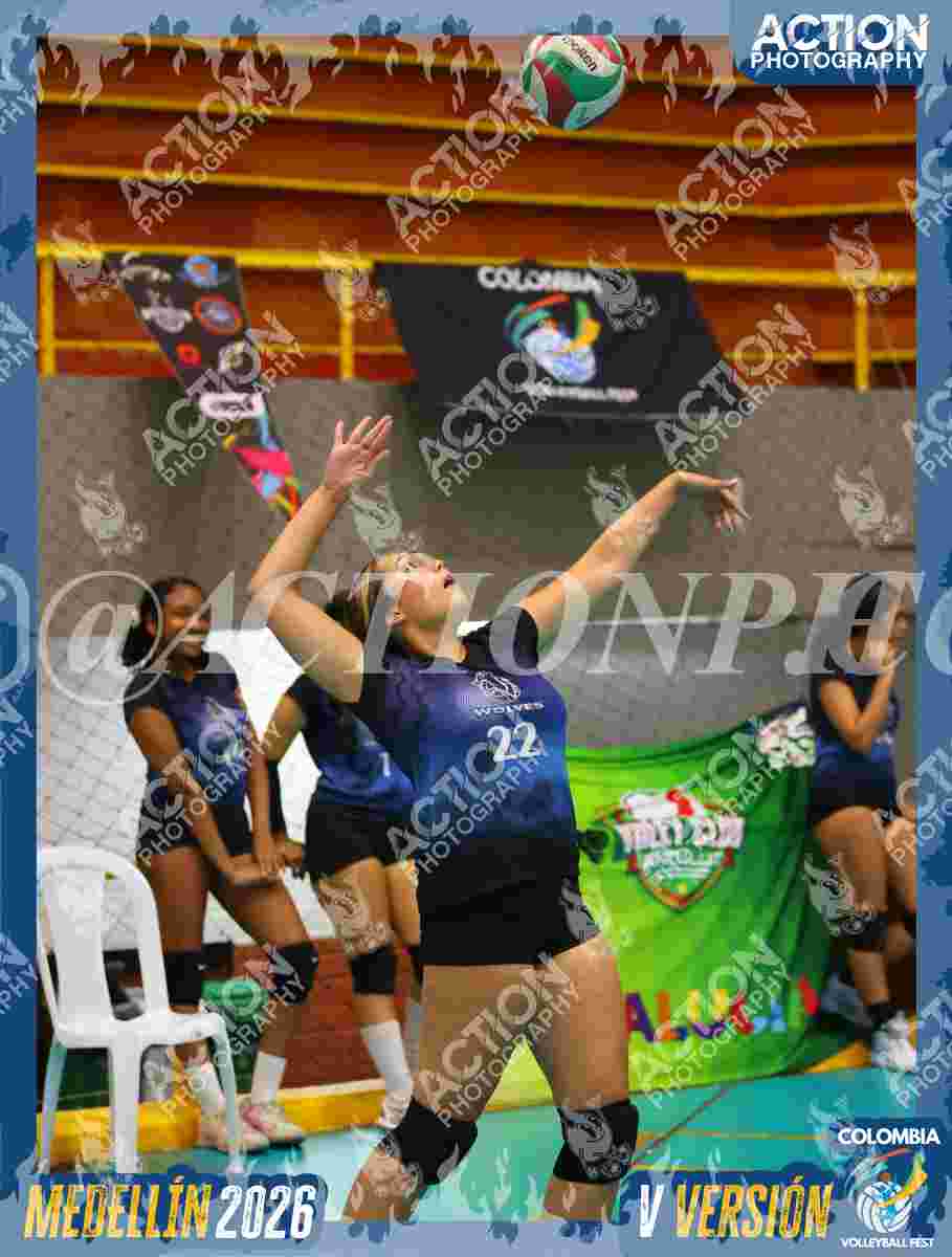 WOLVES Foto 13