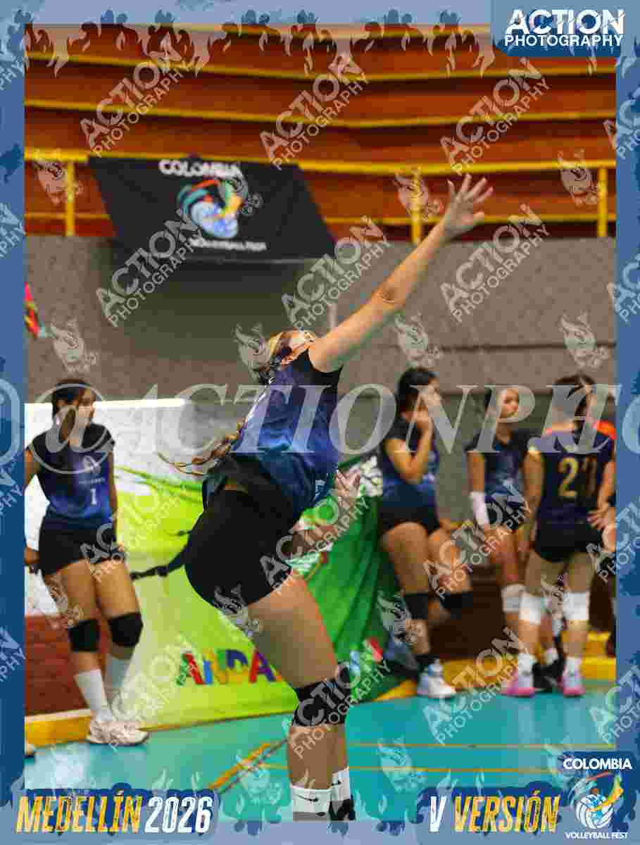 WOLVES Foto 13