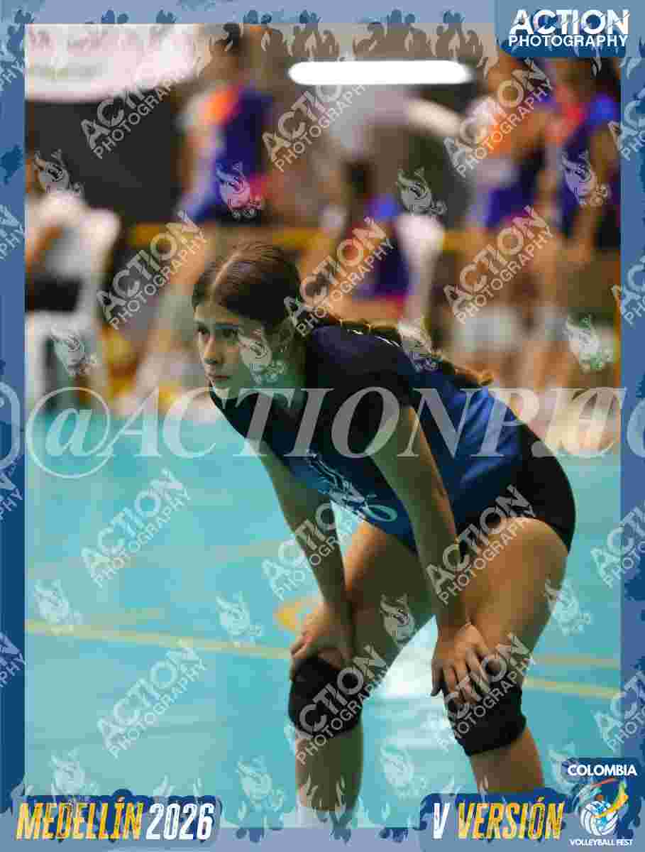 WOLVES Foto 13