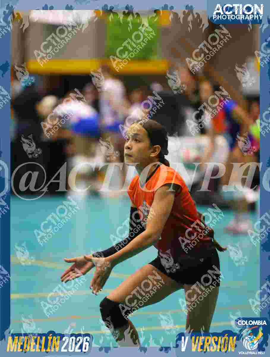 WOLVES Foto 13