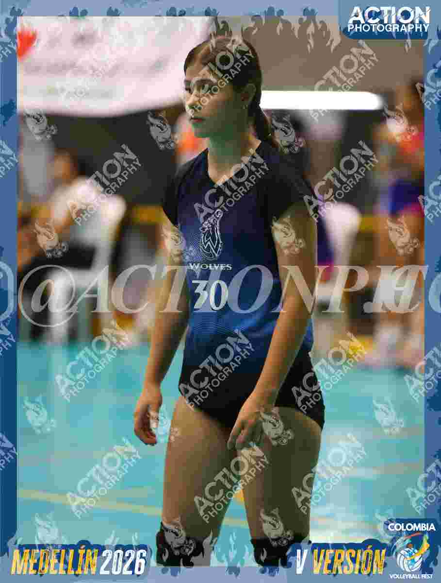 WOLVES Foto 13