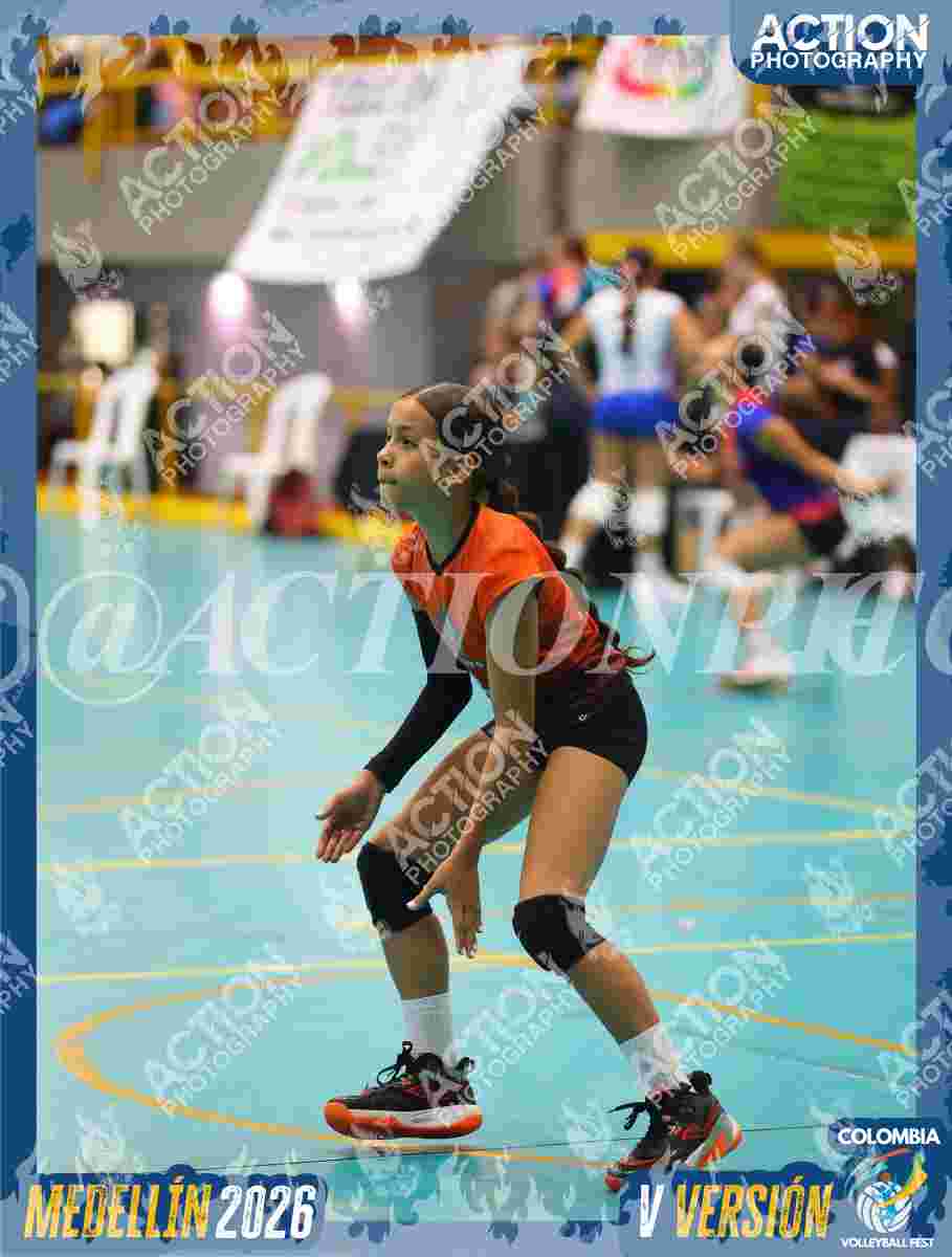 WOLVES Foto 13