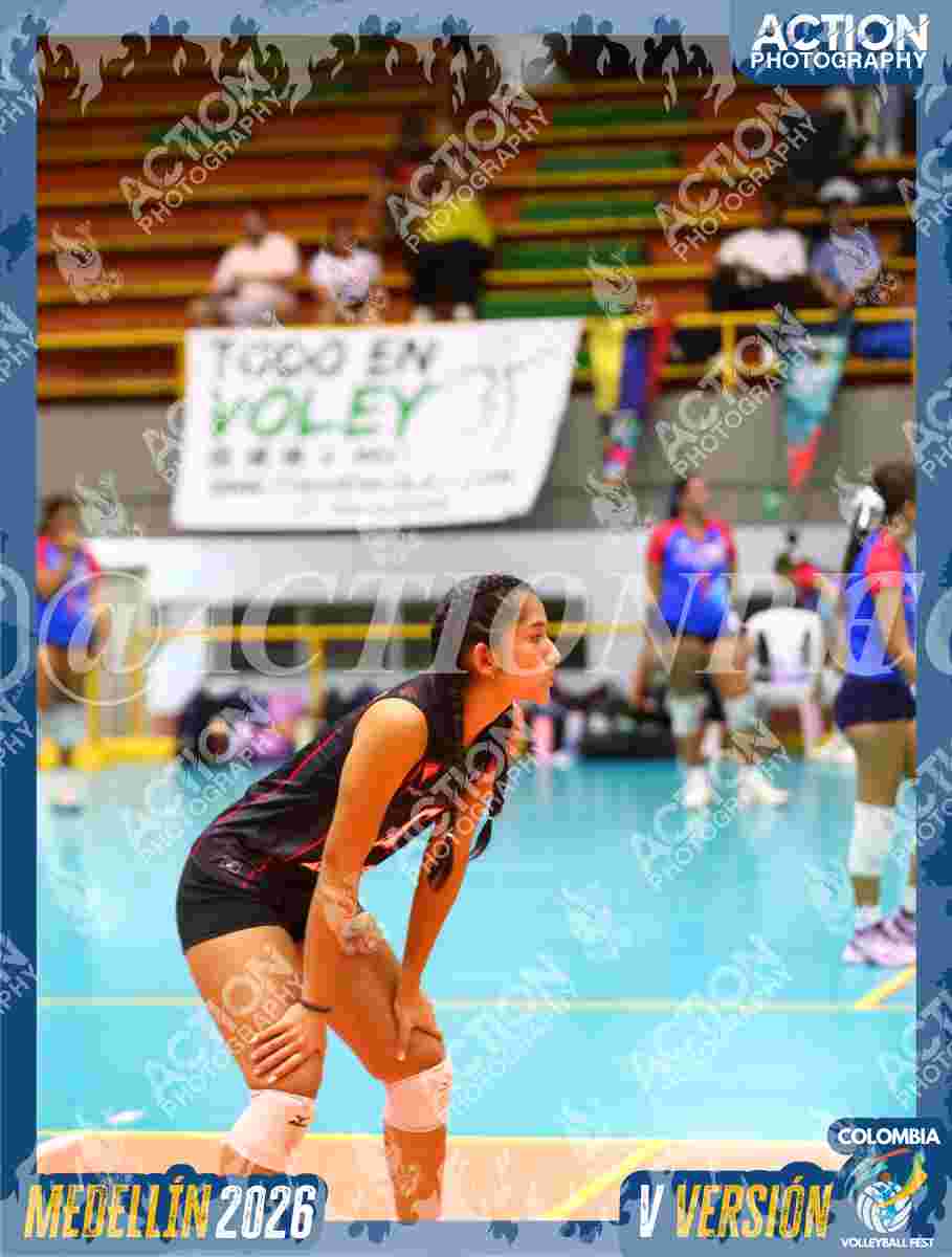 Preview de AGUILAS DEL VALLE
