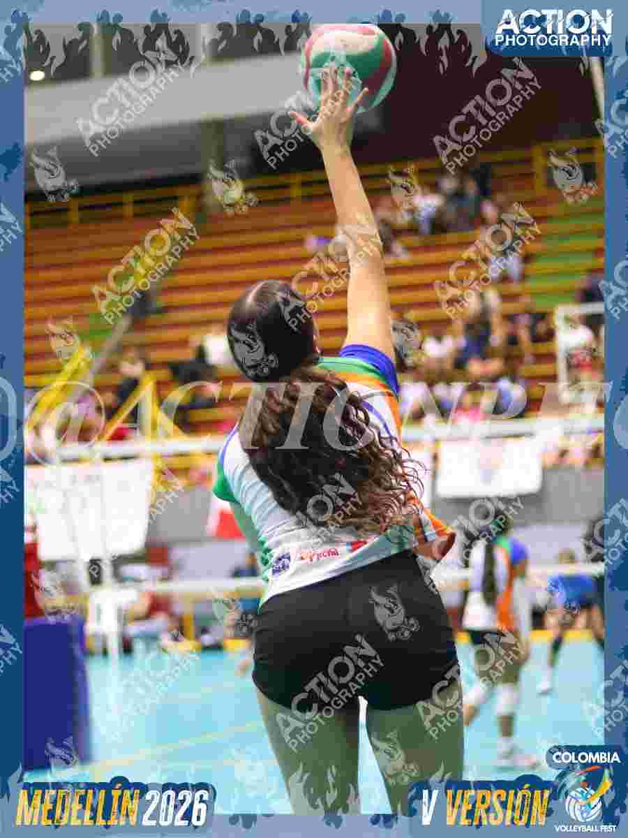 POTROS SPORTS BLACK Foto 4