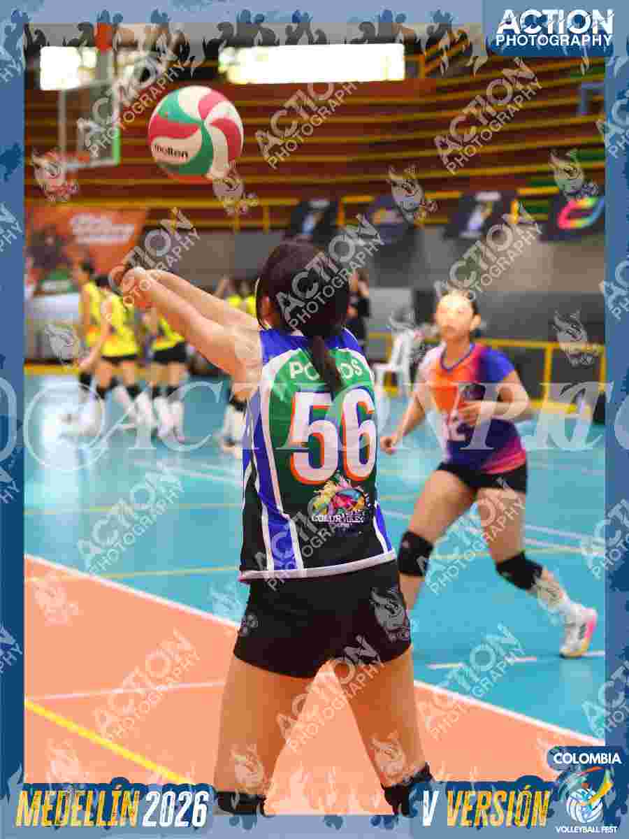 Preview de POTROS SPORTS BLUE