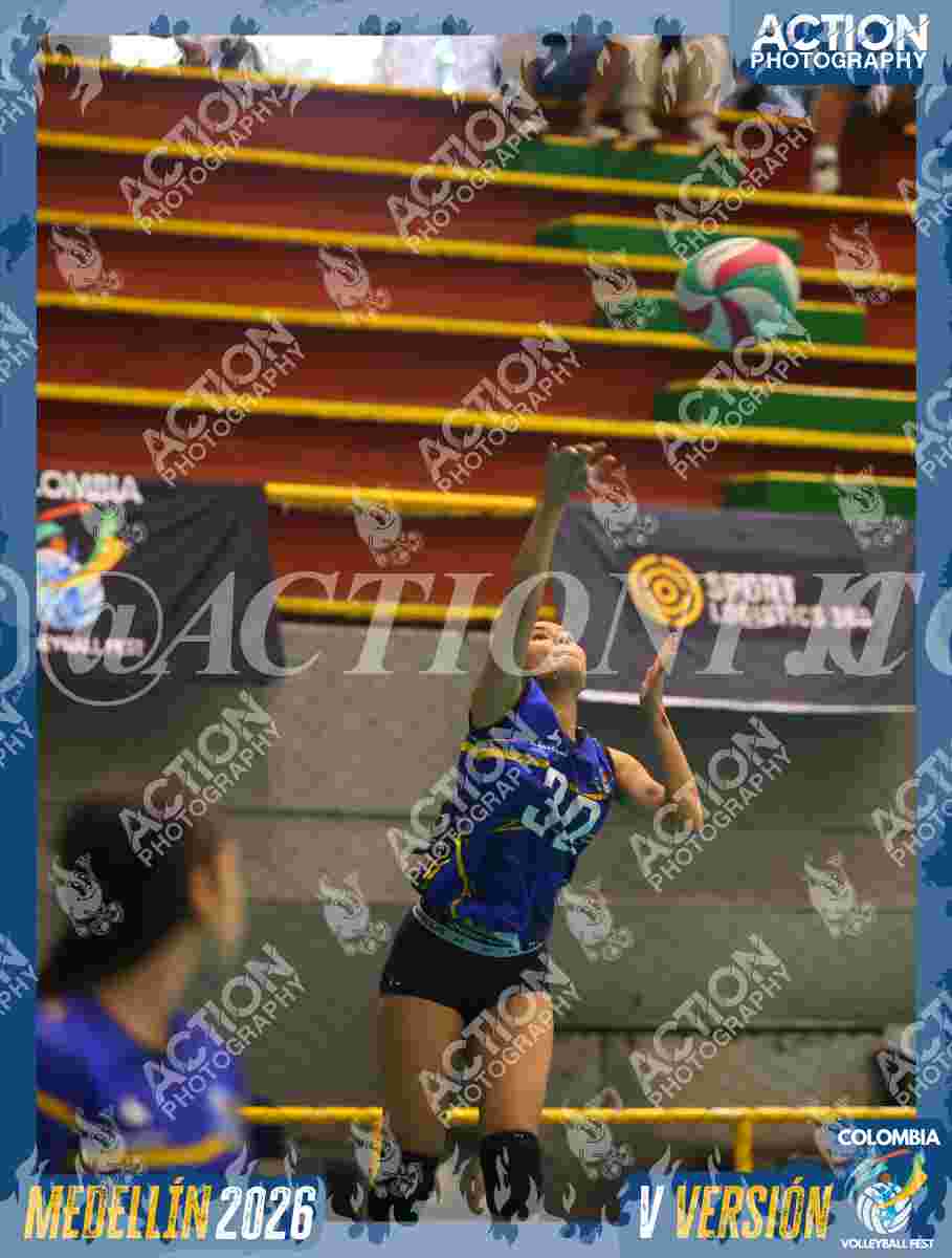 TIGRES S Foto 7