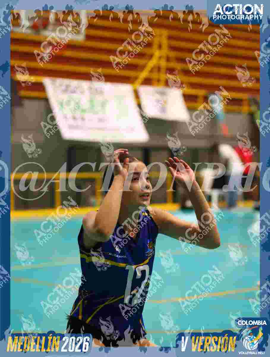 TIGRES S Foto 1