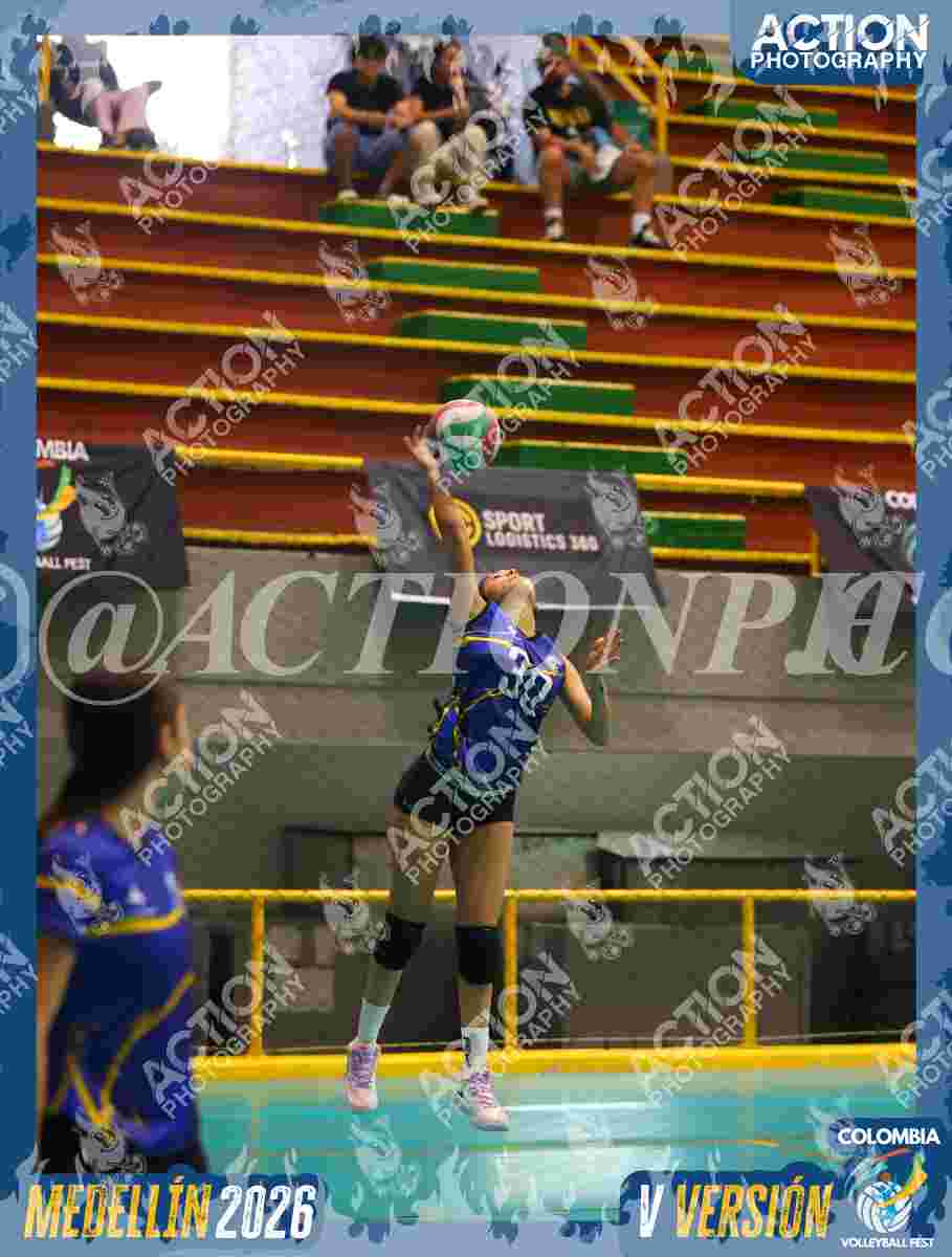 TIGRES S Foto 7