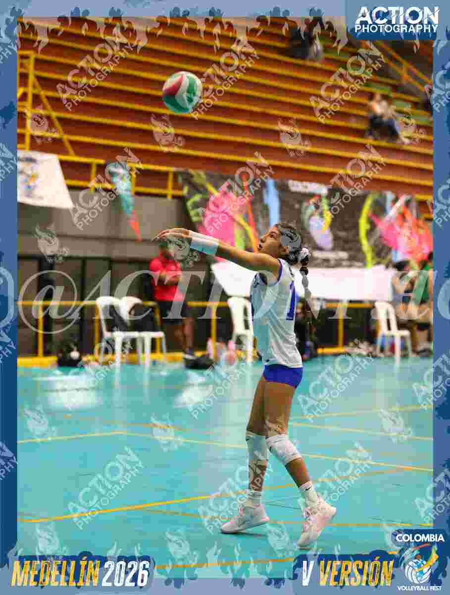TIGRES S Foto 1
