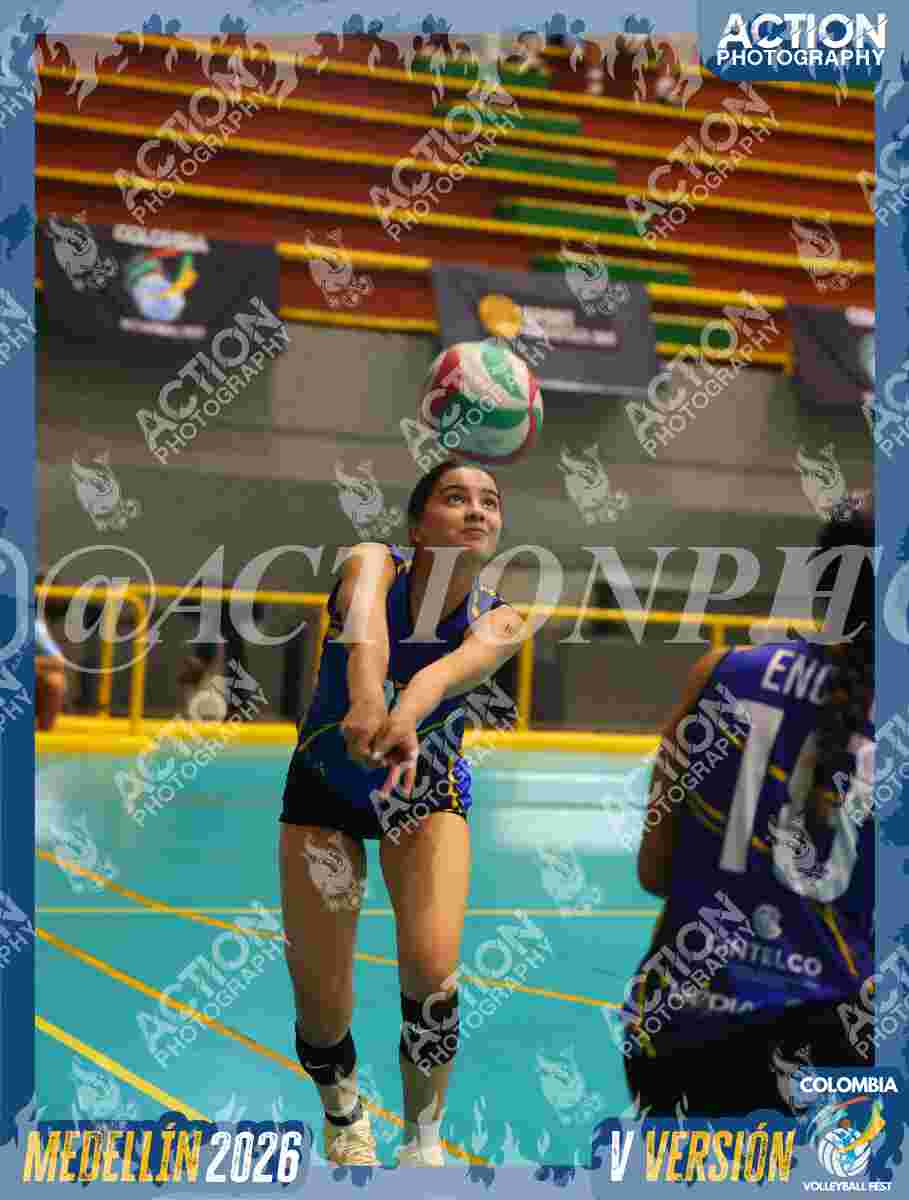 TIGRES S Foto 7