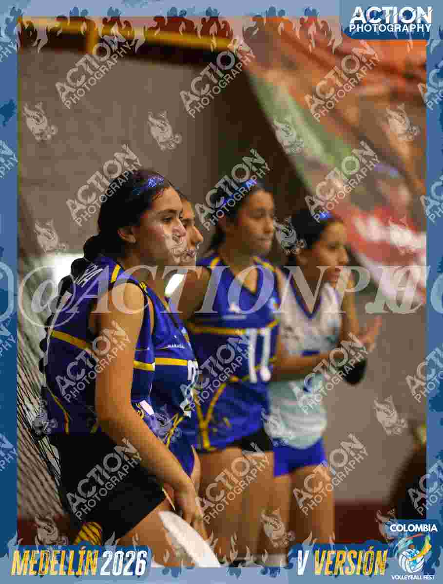 TIGRES S Foto 1