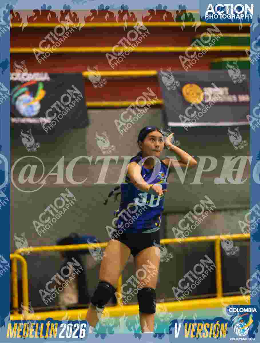 TIGRES S Foto 7