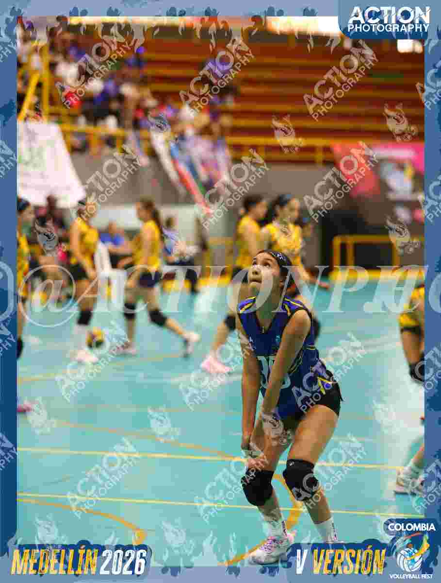 TIGRES S Foto 17