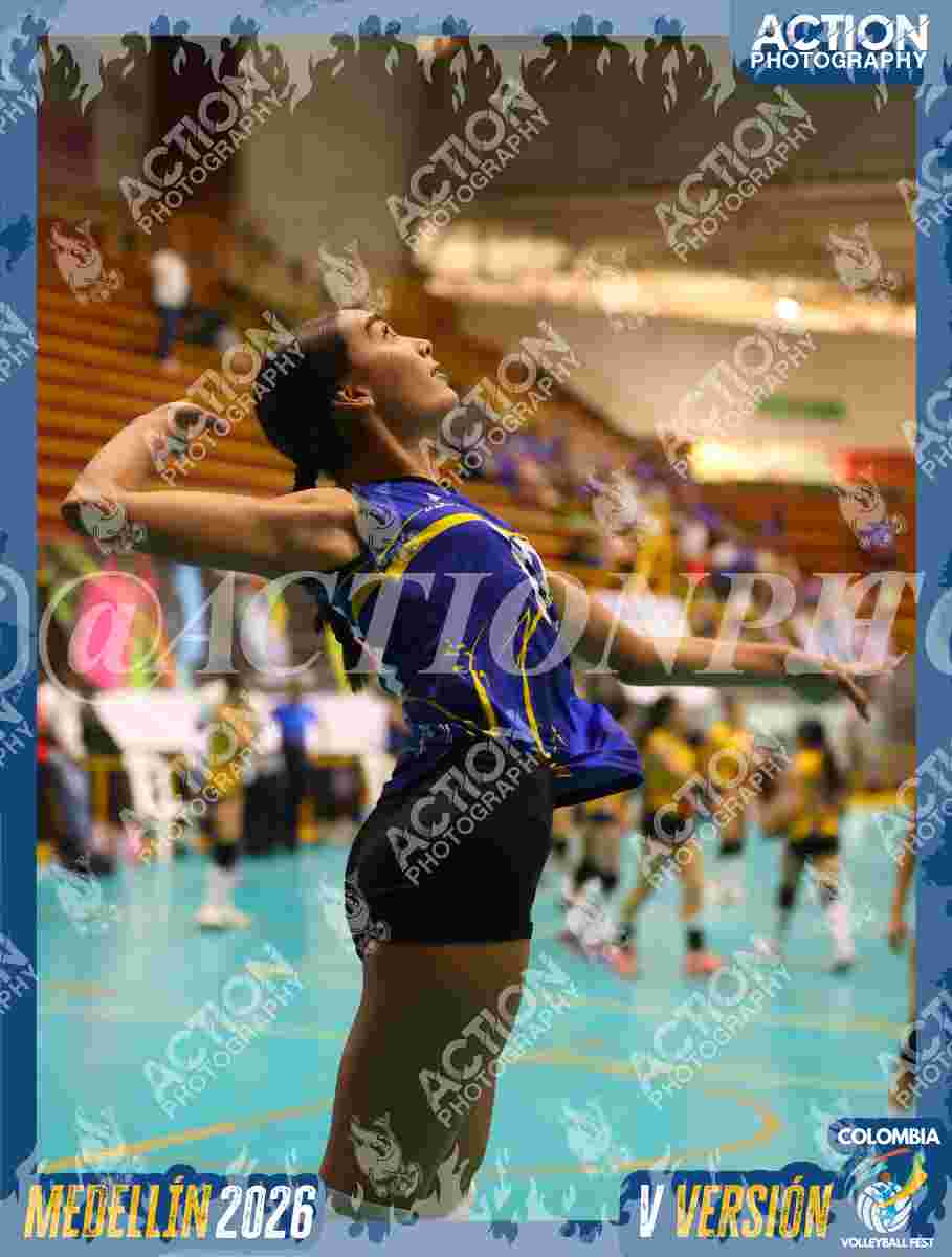 TIGRES S Foto 17