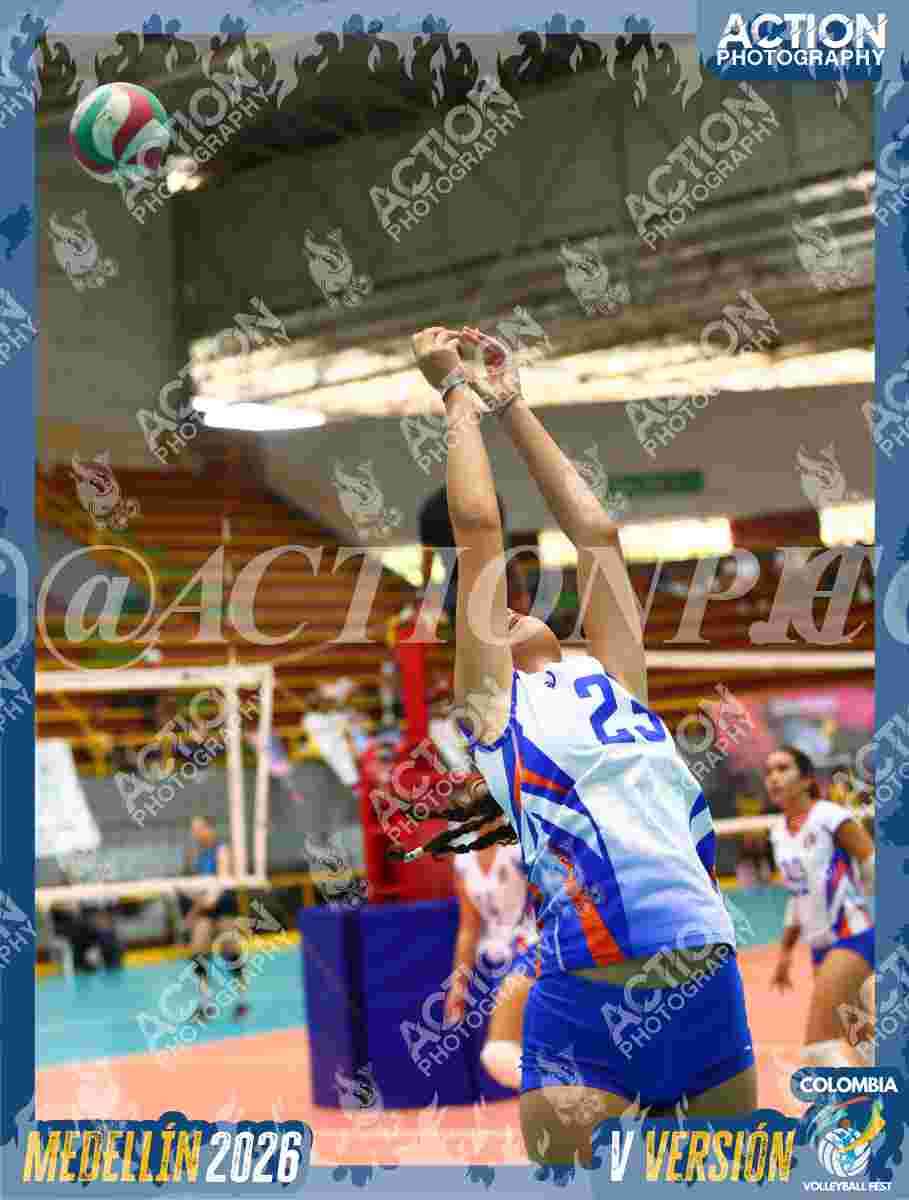 Preview de TIGRESAS 13