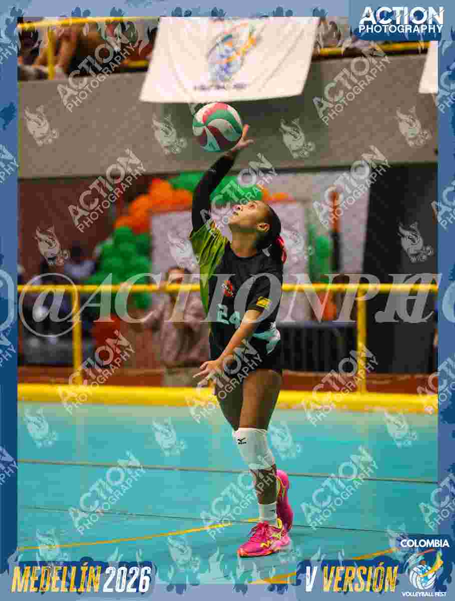 Preview de ENVOL 