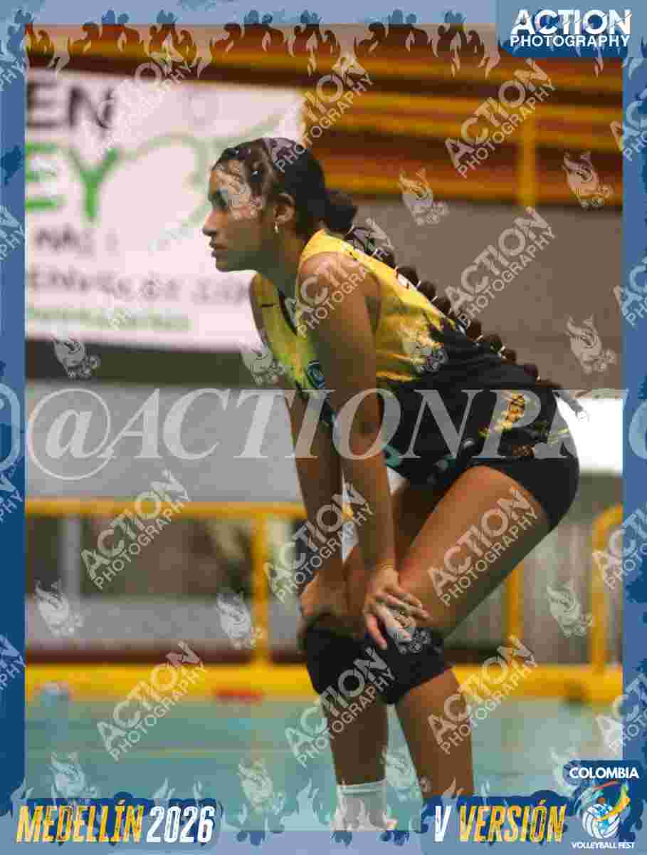 Preview de ITAGUI 