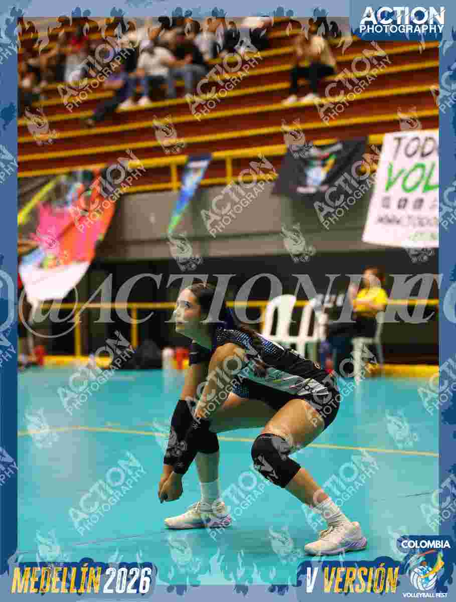 TIGRES DEL VOLEY Foto 1