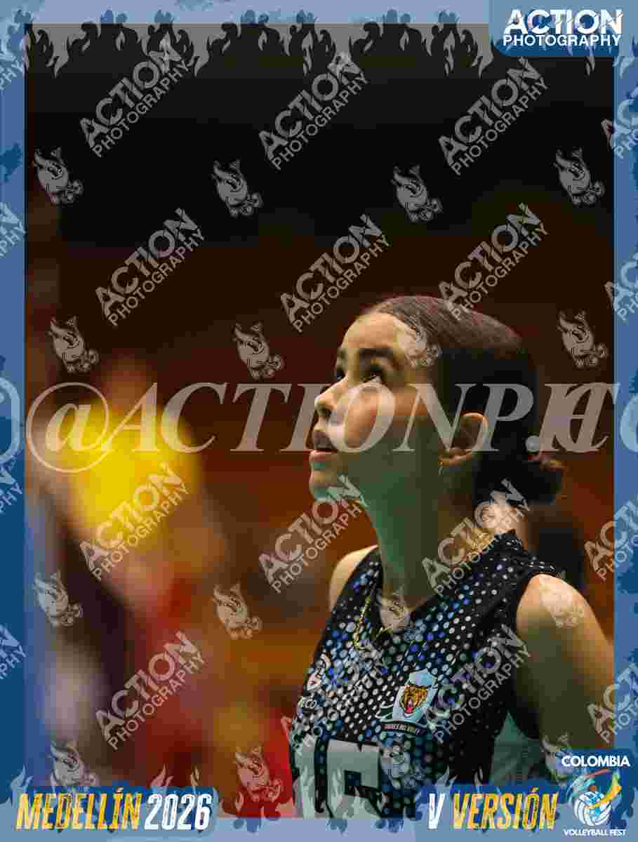 TIGRES DEL VOLEY Foto 1