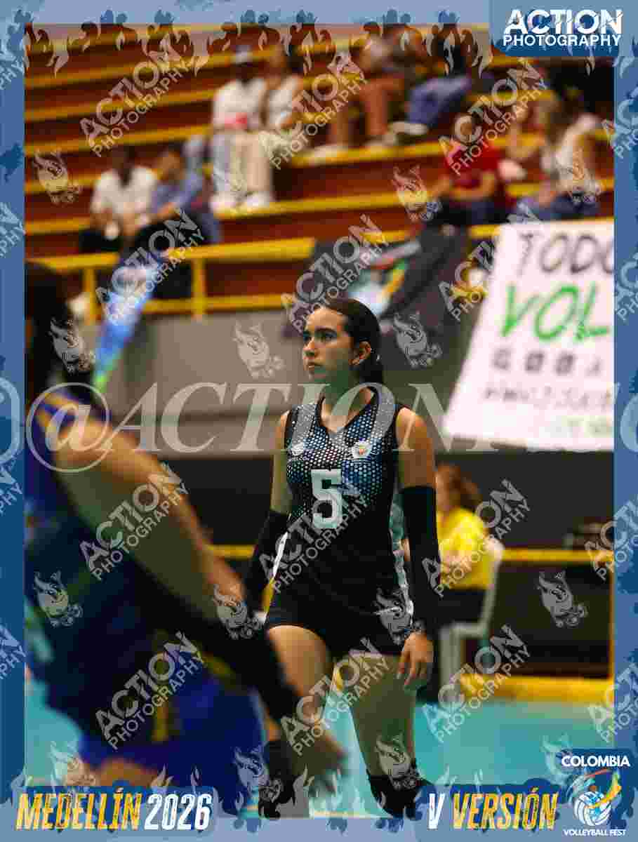 Preview de TIGRES DEL VOLEY