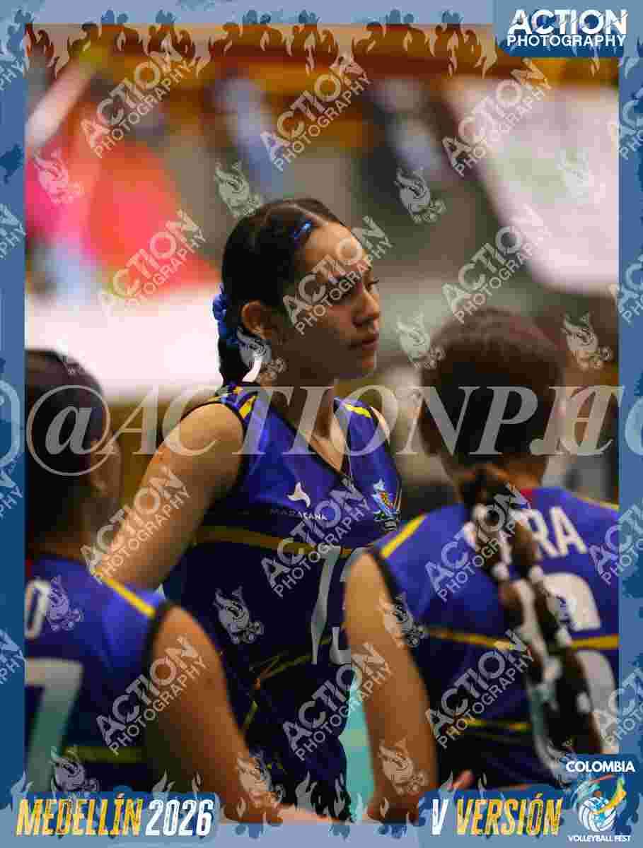 TIGRES S Foto 1