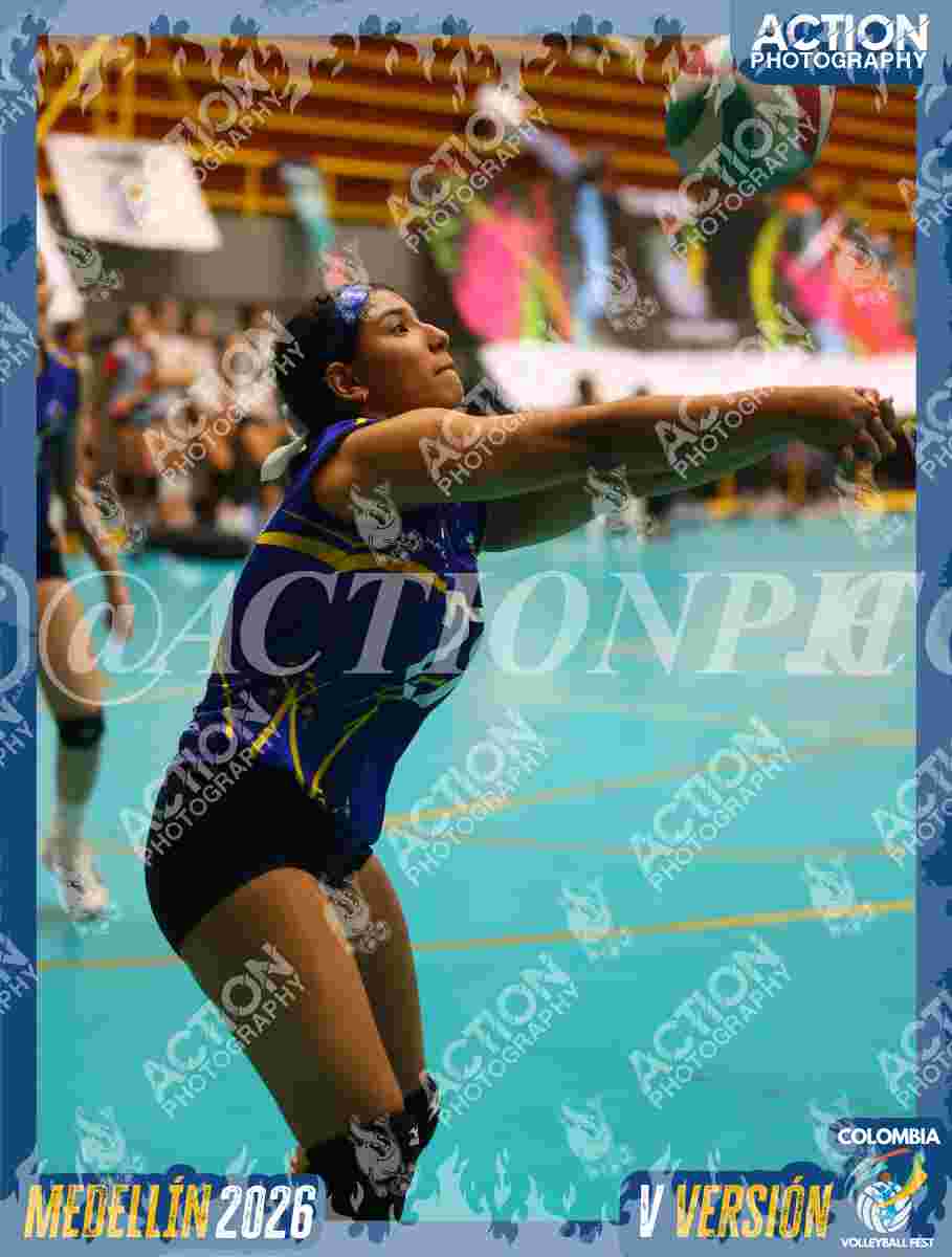 TIGRES S Foto 1
