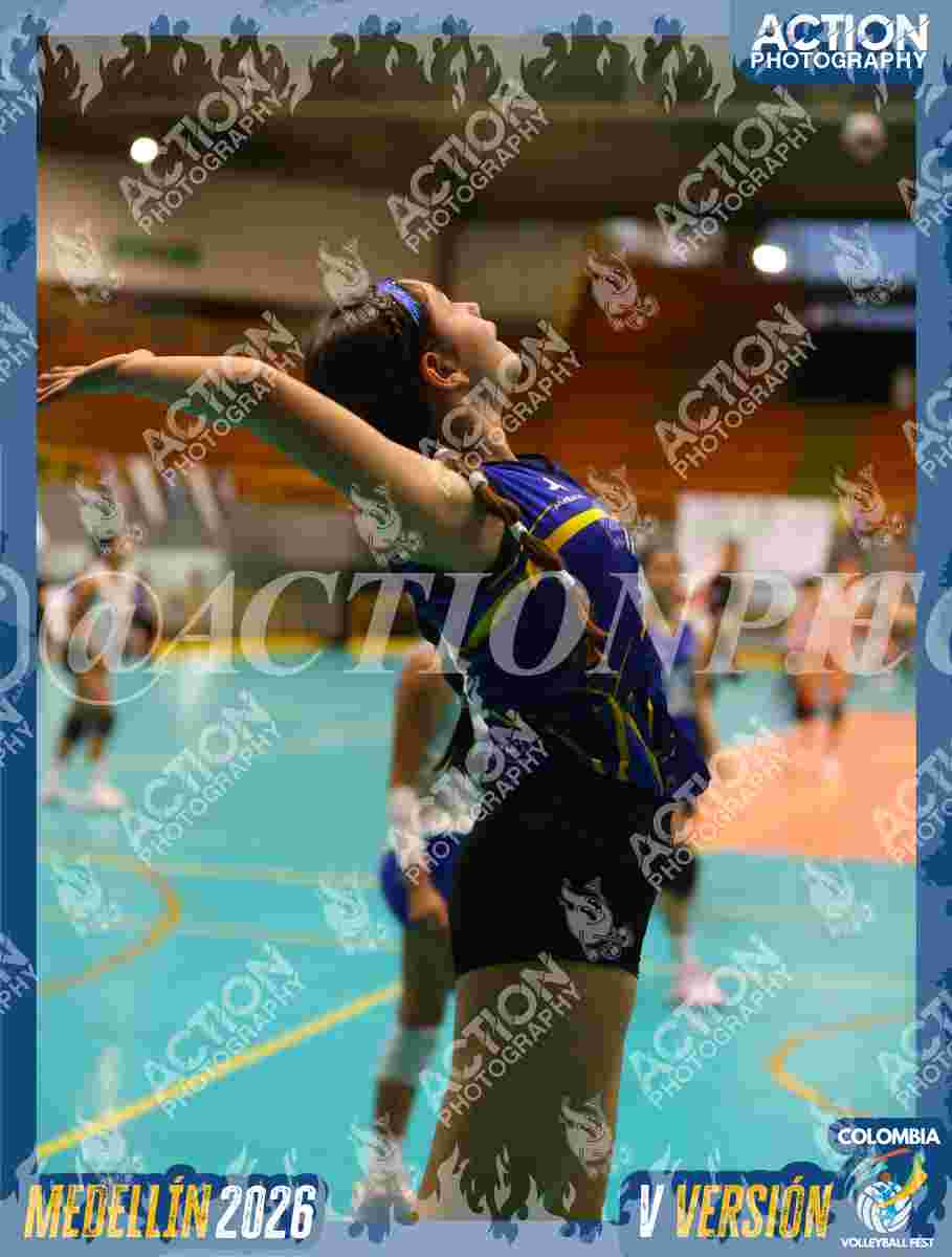 TIGRES S Foto 1