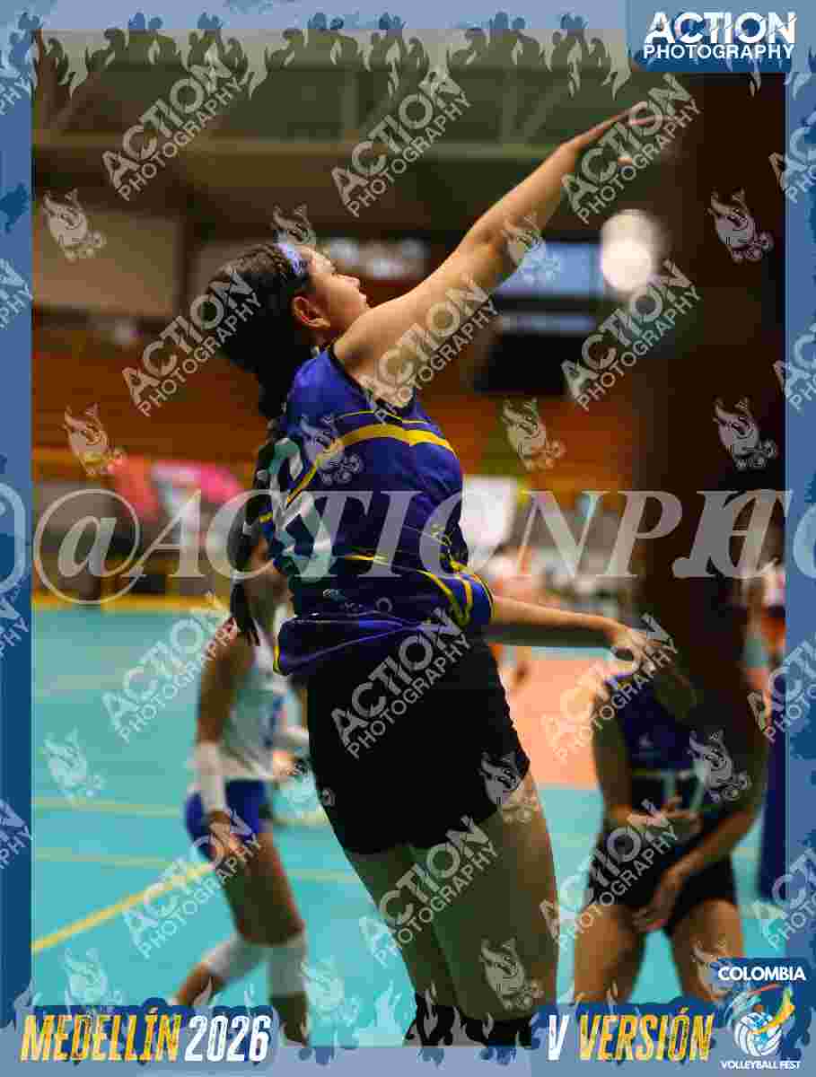 TIGRES S Foto 13