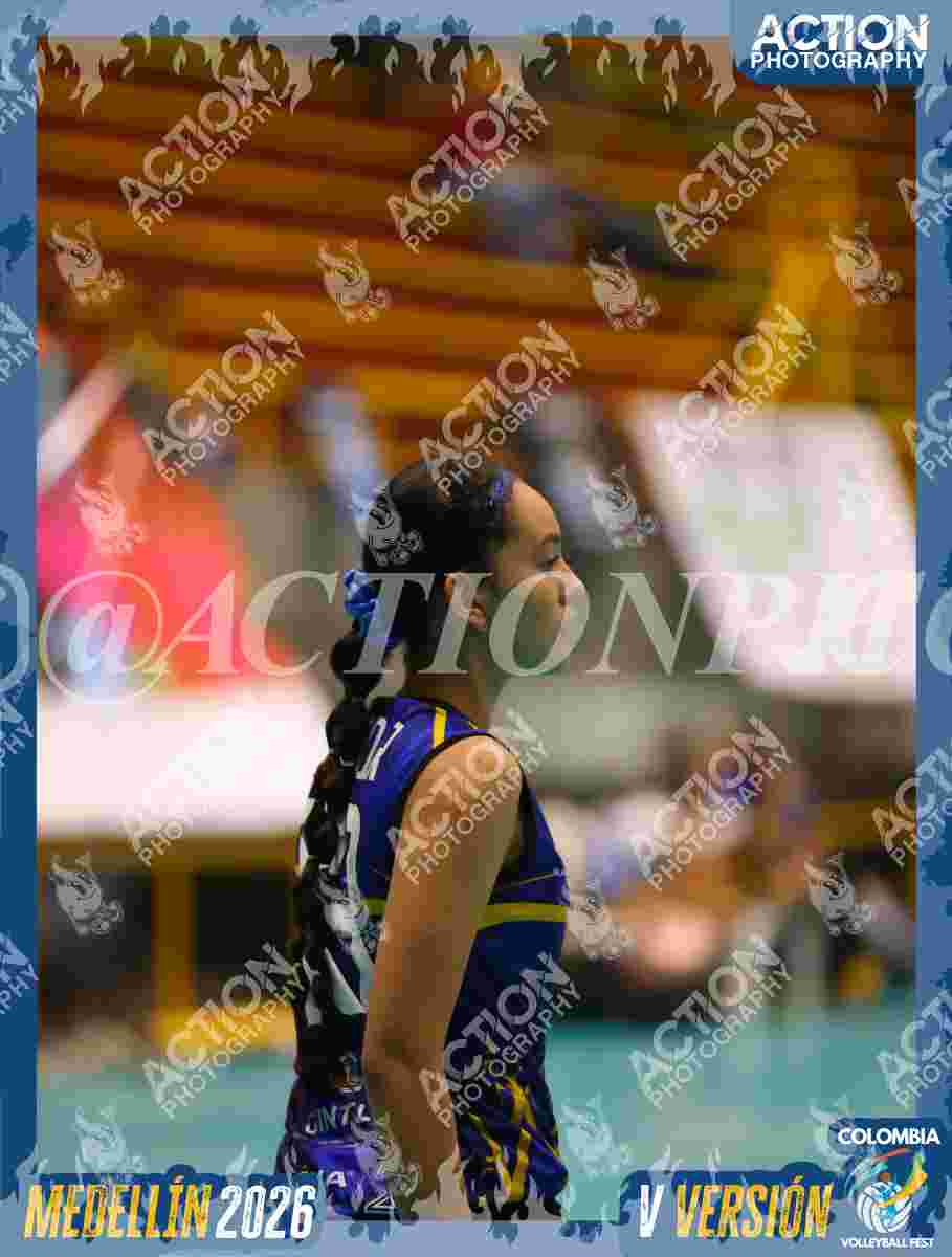 TIGRES S Foto 13