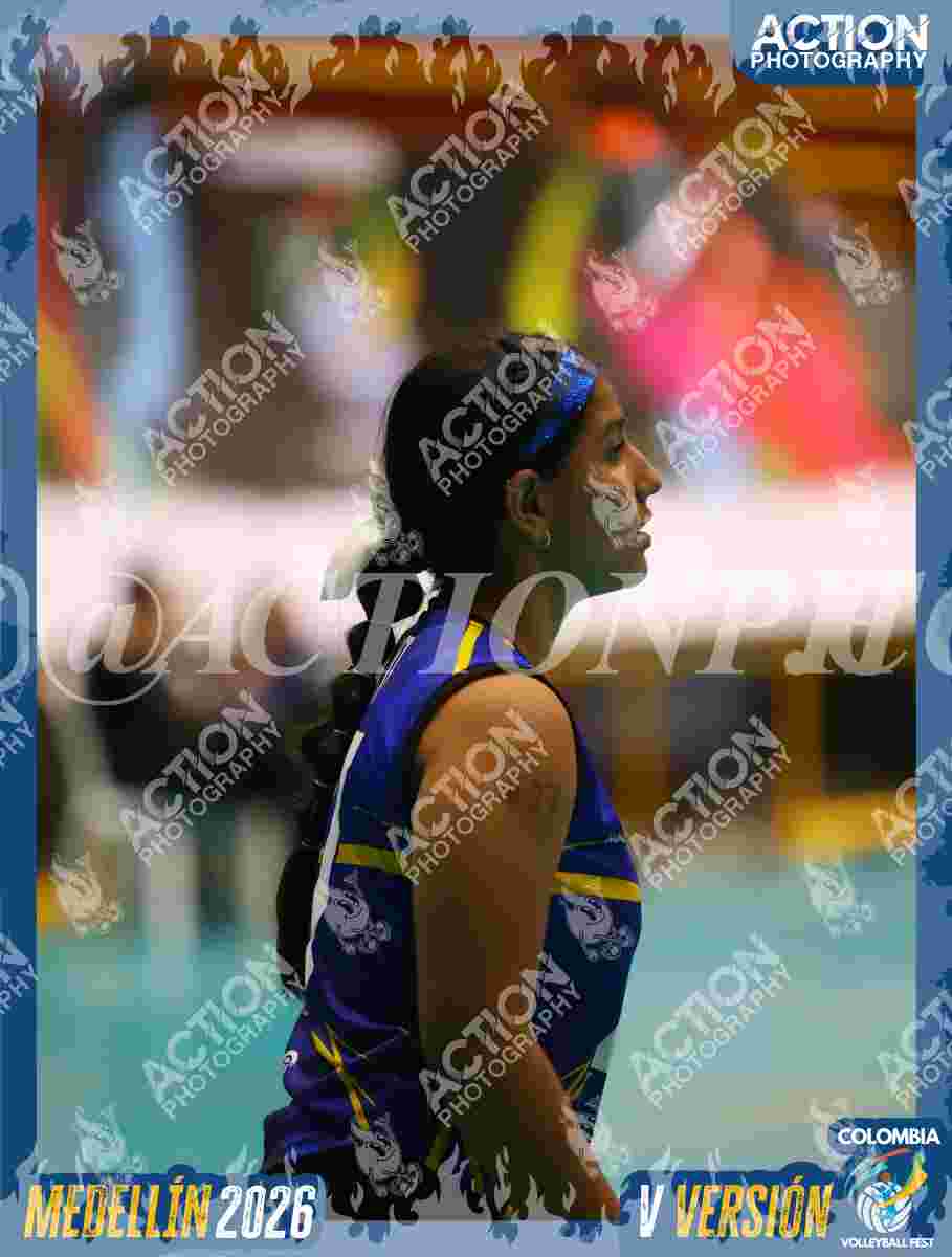 TIGRES S Foto 13