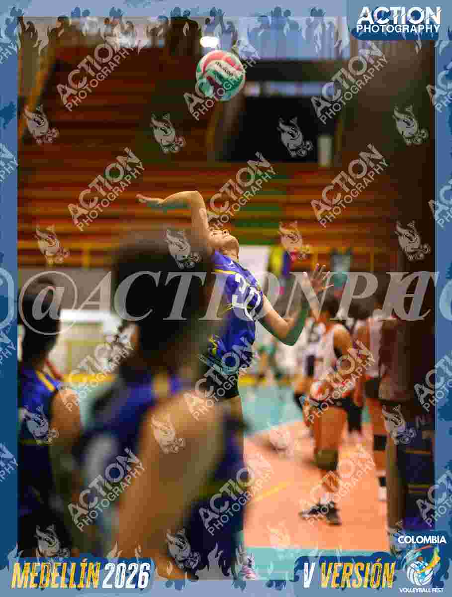 TIGRES S Foto 13