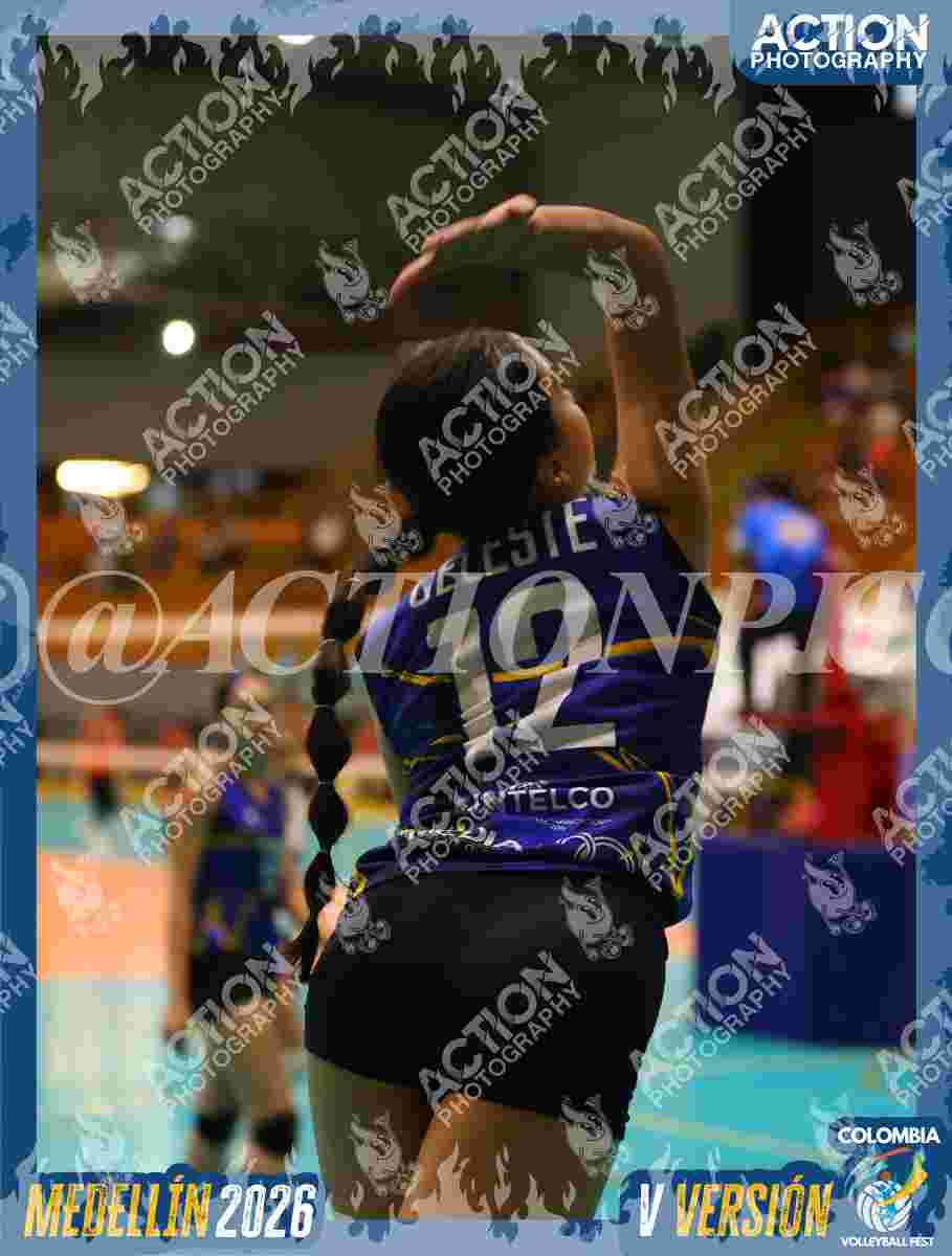 Preview de TIGRES S