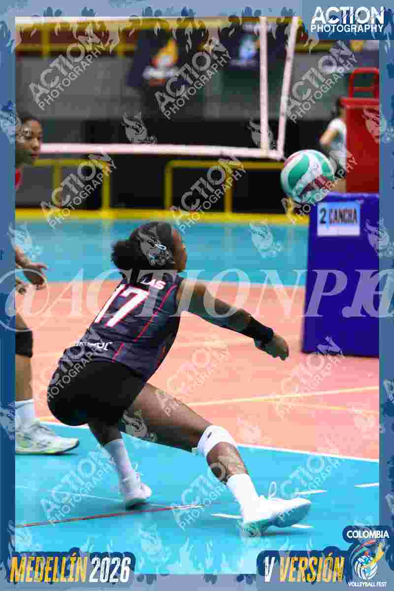Preview de AGUILAS DEL VALLE