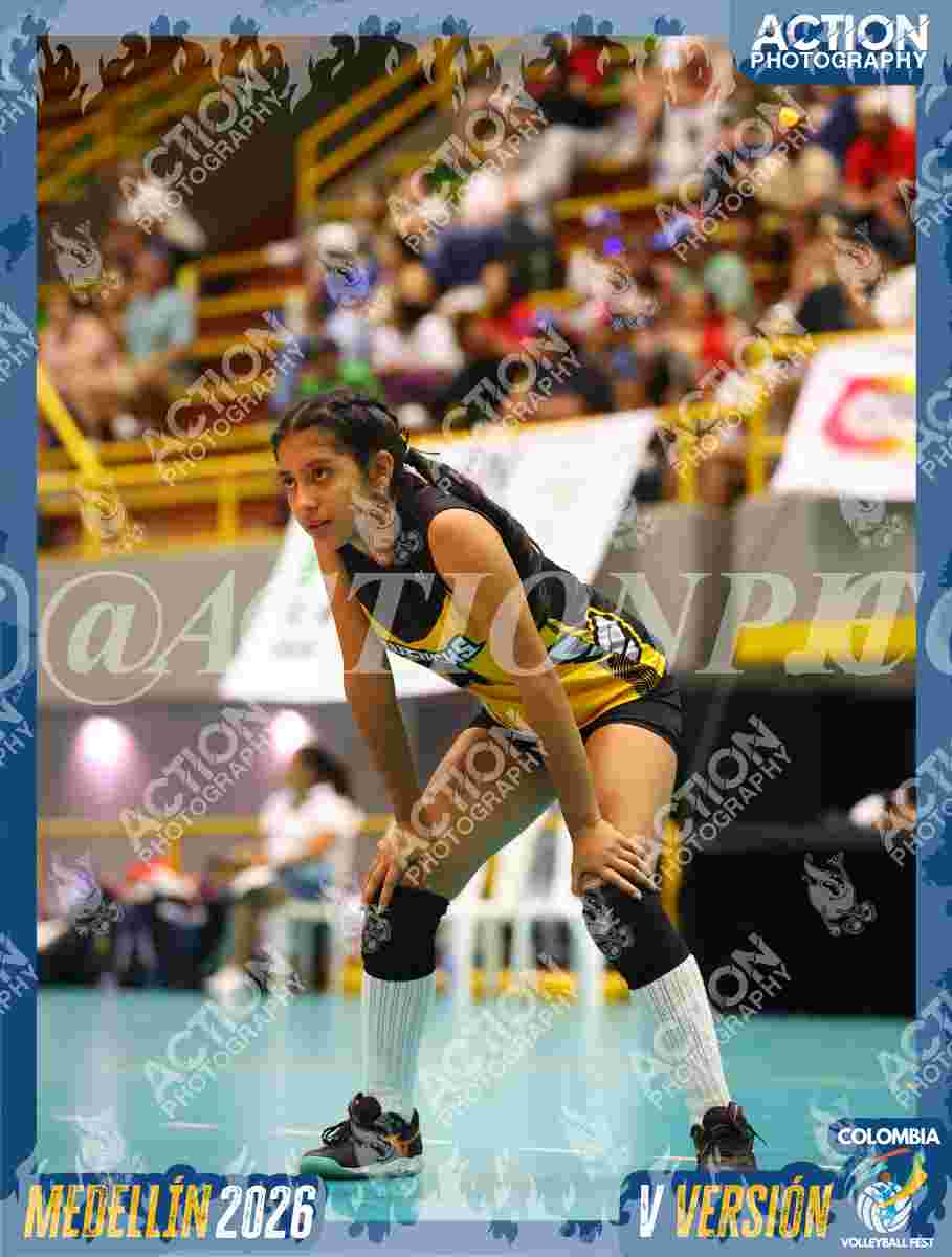 Preview de MAVERICK