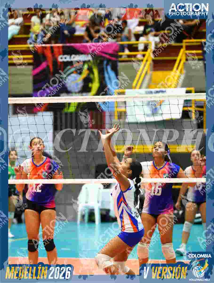 Preview de TIGRESAS 13