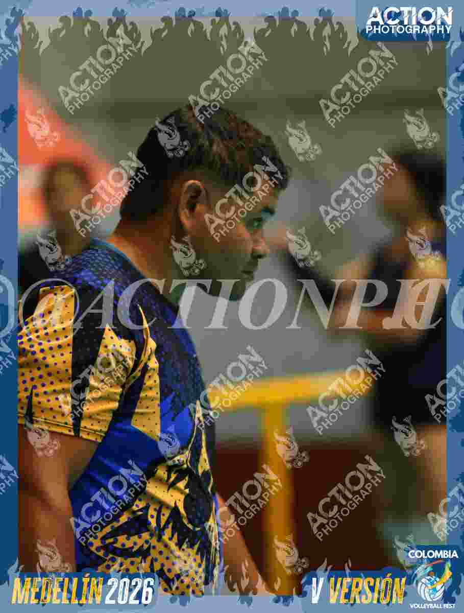 WOLVES Foto 1